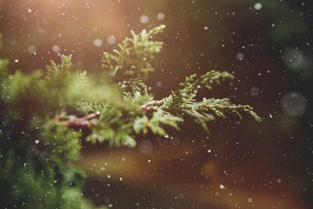 Viel Neuschnee ist am Wochenende nicht zu erwarten, doch zumindest auf den Bergen gibt's etwas Nachschub. | Foto: Pixabay/Pezibear (Symbolbild)