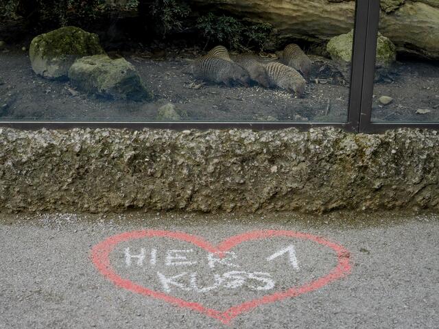 Kissingpoint im Salzburger Zoo | Foto: Zoo Salzburg Angelika Köppl