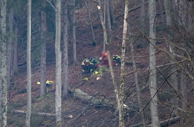 Foto: Bfkdo Amstetten / FF Waidhofen-Wirts