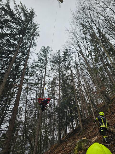 Ein Notarzt und ein Sanitäter wurden per Hubschrauber zur Unglücksstelle geflogen, wo die verunfallte Person erstversorgt wurde.  | Foto: Bfkdo Amstetten / FF Waidhofen-Wirts