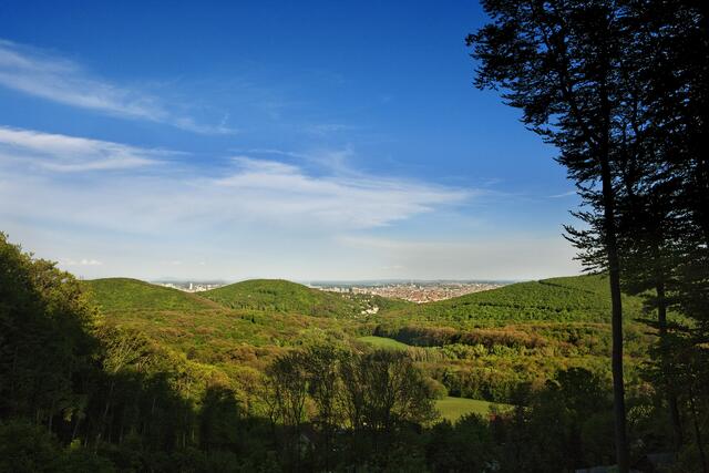Der Biosphärenpark Wienerwald erstreckt sich über niederösterreichische Gemeinden und wiener Bezirke. | Foto: BPWW/L. Lammerhuber