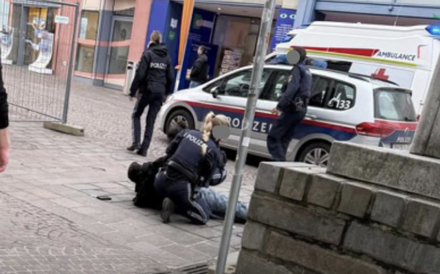 Die Polizei konnte den mutmaßlichen Täter festnehmen. | Foto: Klagenfurt_elite/Screenshot