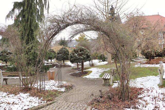 Im winterlichen Outfit zeigte sich der Lebenspark Raaba-Grambach, wer genau hinsah, entdeckte die ersten Schneeglöckchen und die gelben Blüten der Zaubernuss (Hamamelis)  | Foto: Edith Ertl