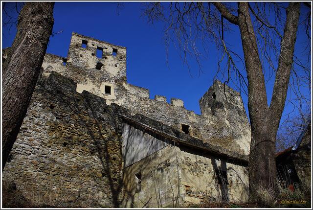 Das fragliche Forsthaus befindet sich in der Nähe der Burg Kronsegg bei Langenlois. | Foto: Heinrich Moser