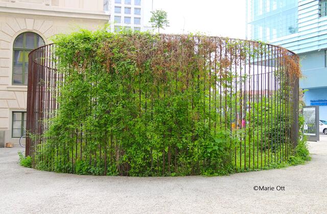 Künstler Lois Weinberger