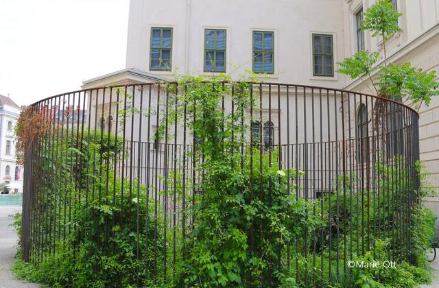 Wild Cage, Lois Weinberger, Joanneumsviertel, Graz