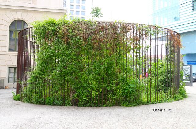 Kunstprojekt, Lois Weinberger