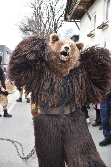 Der Bär ist los! Mit wilden Sprüngen und kraftvollen Bewegungen begeistert der Absamer Bär das Publikum. | Foto: Kendlbacher