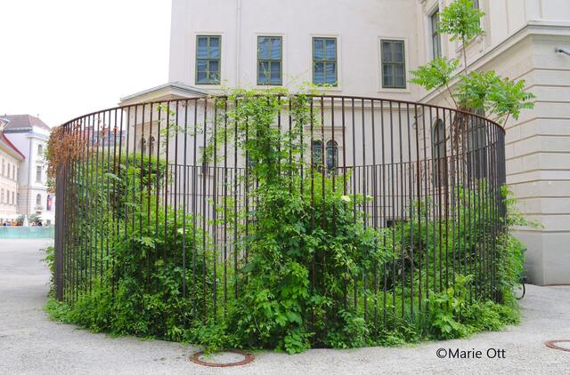 Kunst im öffentlichen Raum, Lois Weinberger