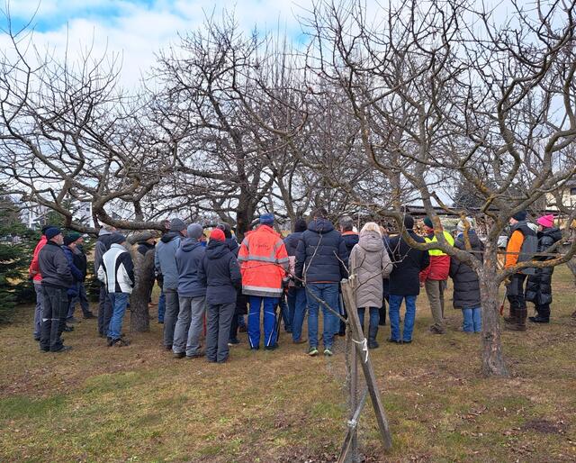 „Der Schnitt bestimmt die Form, die Pflege die Kraft, die Zeit die Ernte.“ - dies zeigte sich auch beim Baumschnittkurs in Kobersdorf.  | Foto: Naturpark Landseer Berge