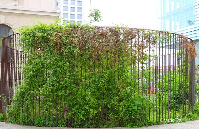 Künstler Lois Weinberger