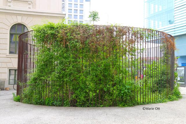 Lois Weinberger, Kunst im Öffentlichen Raum Steiermark