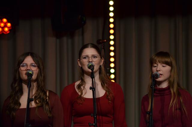 Foto: Borg Bad Radkersburg