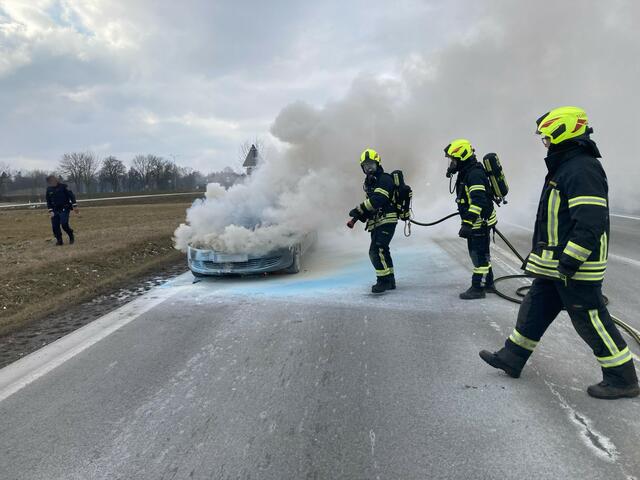 Der PKW brannte im Motorraum. | Foto: FF Waidhofen/Thaya