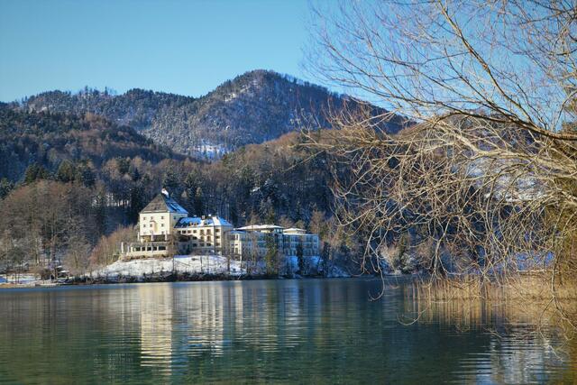 Das Schloss Fuschl im Winterkleid. | Foto: Elisabeth Staudinger