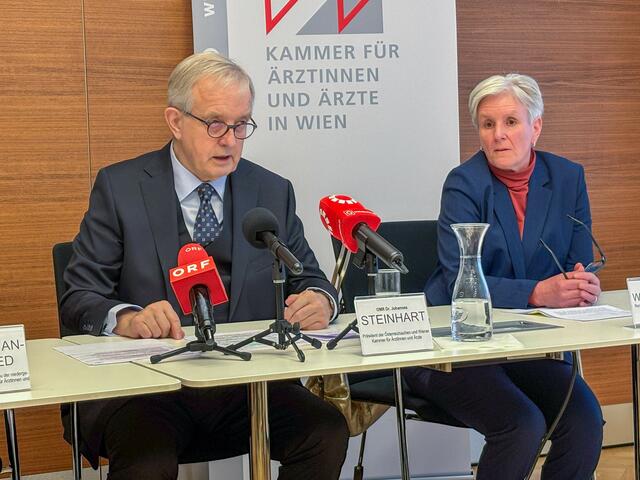 Foto: Andreas Pölzl/MeinBezirk