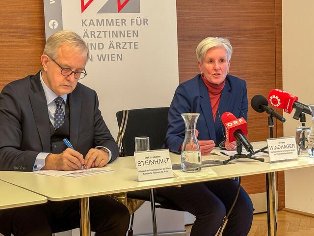 Foto: Andreas Pölzl/MeinBezirk