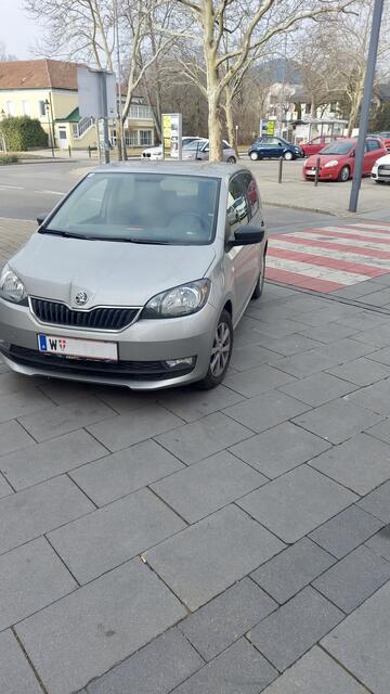 Der Skoda-Fahrer aus Wien pfiff auf Parkplätze und parkte einfach irgendwo. | Foto: Manfred Windbacher