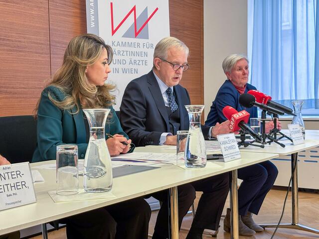 Am Montag wurden die Studienergebnisse zu Hass im Netz gegen die Wiener Ärzteschaft von der Kammer für Ärztinnen und Ärzte in Wien vorgestellt.  | Foto: Andreas Pölzl/MeinBezirk