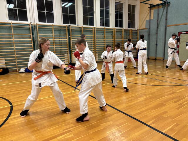 So sieht es dann im Training aus. | Foto: Victoria Edlinger