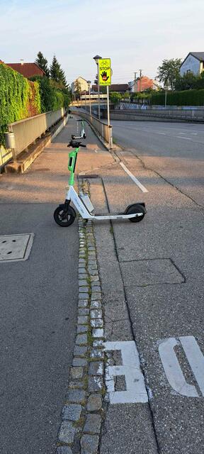 Impressionen aus Lichtenegg: Unsere Leser haben ein paar Stolperfallen mit dem Handy festgehalten. In den Stadtteilen hat man langsam die Nase voll. | Foto: Hinterreiter