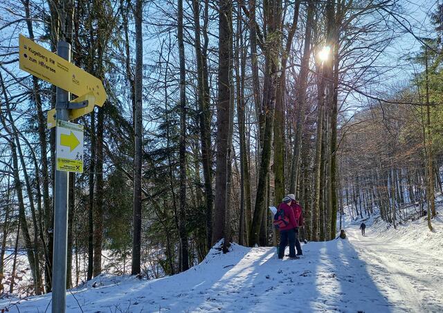 Kugelberg Wanderweg  | Foto: H. Bachinger