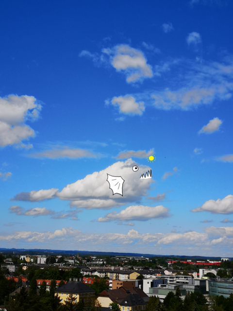 Veronika Zangl ist ständig unterwegs, um Wolkenformationen zu fotografieren. Aus diesen entwickelt sie humorvolle Fantasiegestalten, die zu ProtagonistInnen im eigenen Kopfkino werden und zu einer Reise in eine Anderswelt einladen. | Foto: Veronika Zangl