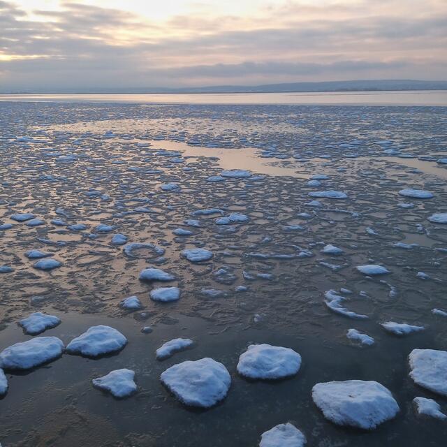 Für eine tragfähige Eisschicht sind die Winter im Burgenland in den letzten Jahren oft zu mild.  | Foto: renatahfotografie 
