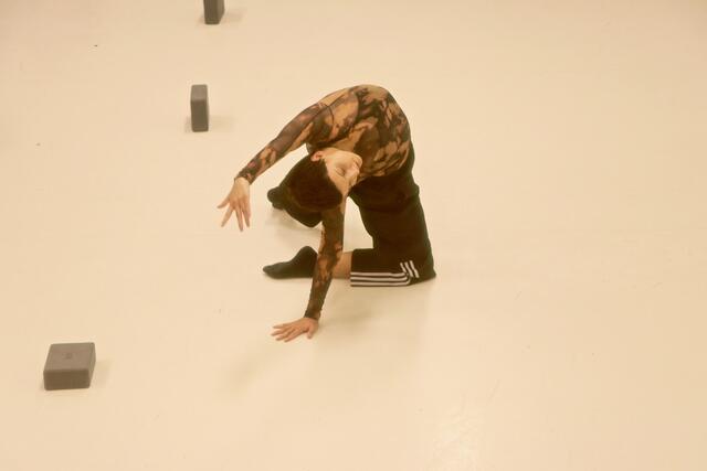 Trainerin Vali zeigt Eleganz und Körperbeherrschung pur. | Foto: Ulrike Kozeschnik-Schlick