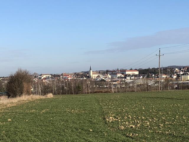 Das beste für Hollabrunn wollen wohl alle Parteien erreichen. | Foto: Alexandra Goll