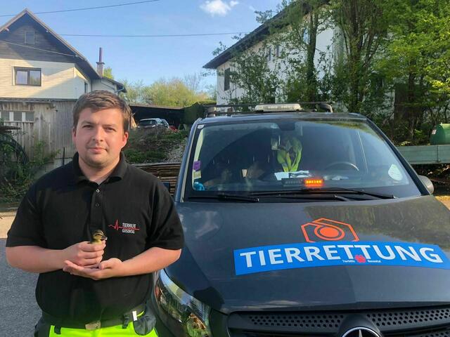 Der 28-jährige Gregor Finster aus Pichl bei Wels hat es sich zur Aufgabe gemacht, mit seiner Organisation Tierhilfe Gusental Tiere zu retten. | Foto: Tierhilfe Gusental