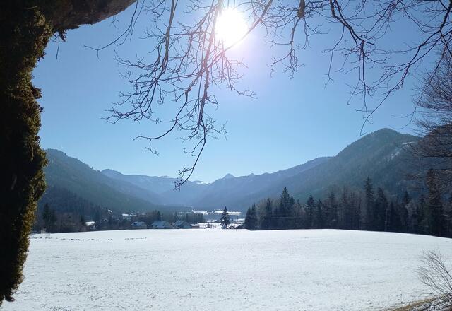 Der Hintersee ist in Sichtweite  | Foto: H. Bachinger