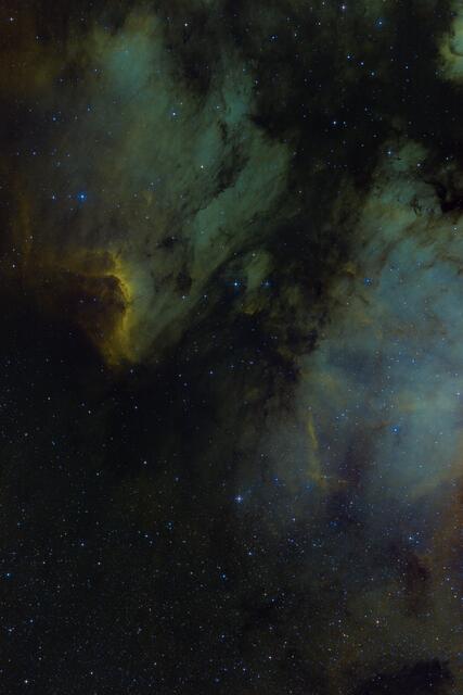 NGC7000 Nordamerikanebel, fotografiert von Alex Gschöpf | Foto: Alex Gschöpf