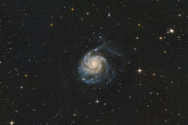 M101  Feuerradgalaxie, fotografiert von Alex Gschöpf. | Foto: Alex Gschöpf