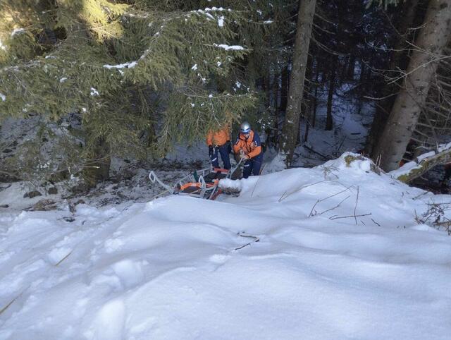 Die Bergretter aus Mittersill wurden zur Bergung des 22-jährigen Oberösterreichers bei der Wildkogel Rodelbahn gerufen. | Foto: Bergrettung Mittersill