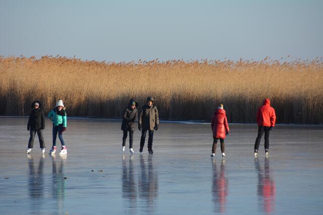 Von den Jahren 2010 bis 1019 betrug der Mittelwert der Eisdeckdauer in Tagen am Neusiedler See nur noch 25 Tage im Jahr. | Foto: Franz Tscheinig