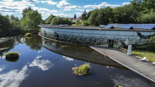 Das UnterWasserReich im Naturpark Hochmoor Schrems. | Foto: Stadtgemeinde Schrems