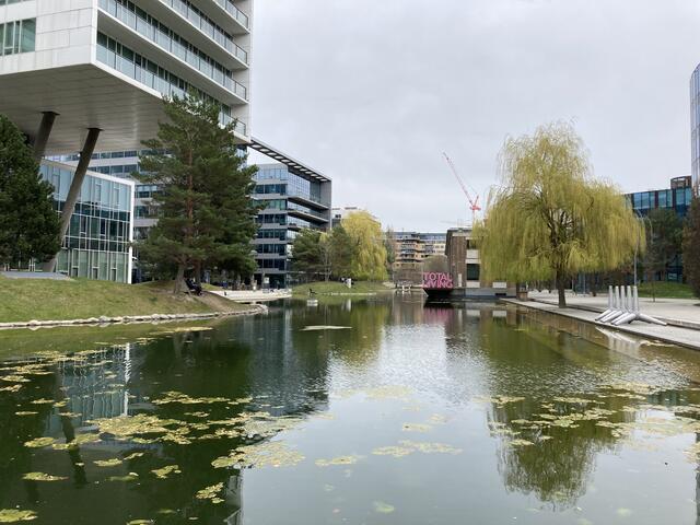  (Archiv) | Foto: Johannes Reiterits/MeinBezirk