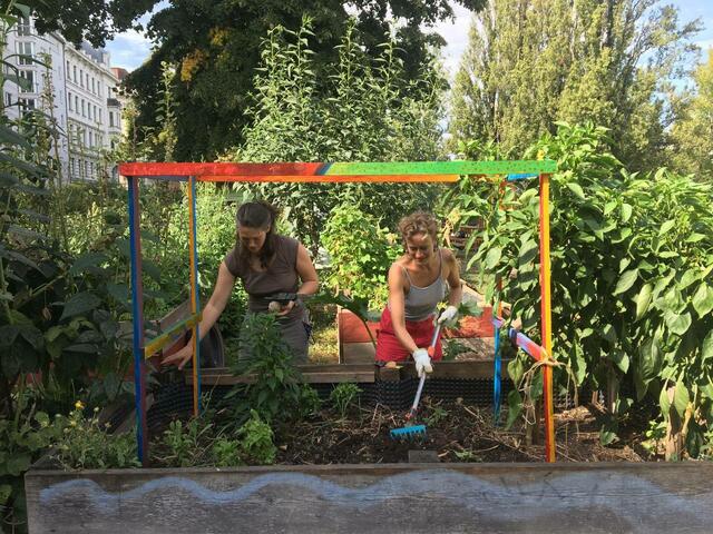 Der Alsergarten sucht begeisterte Hobbygärtner, die bereit wären, ein Beet zu übernehmen. | Foto: Alsergarten