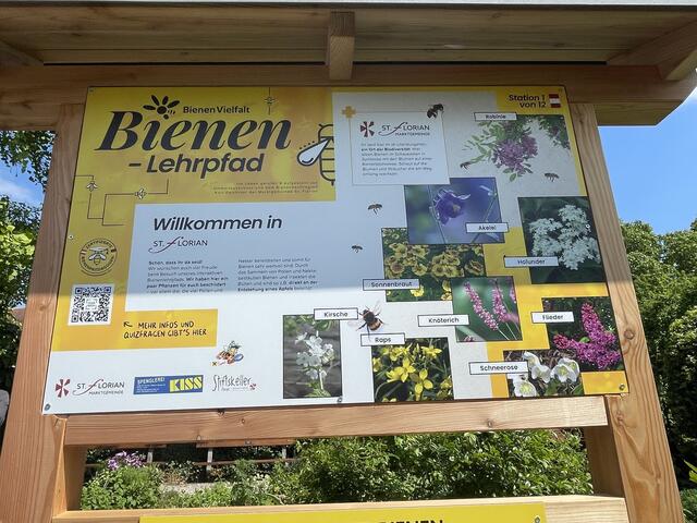 Der Bienenlehrpfad in St. Florian ist das jüngste und größte Projekt von Kurt Feichtner. | Foto: Sandra Würfl