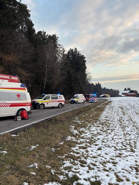 Rettungskräfte und Feuerwehren waren auf der L314 im Einsatz. | Foto: FF Ligist