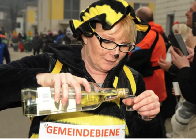 Faschingstreiben in Haunoldstein | Foto: GM Haunoldstein