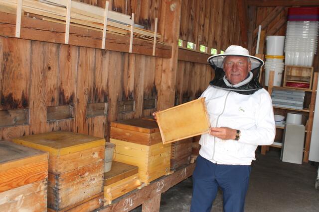 Kurt Feichtner, Imker und bis Ende 2024 Bienenbeauftragter von St. Florian. | Foto: BRS/Losbichler