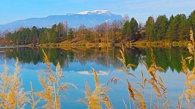 Dobratsch spiegelt sich im Silbersee.