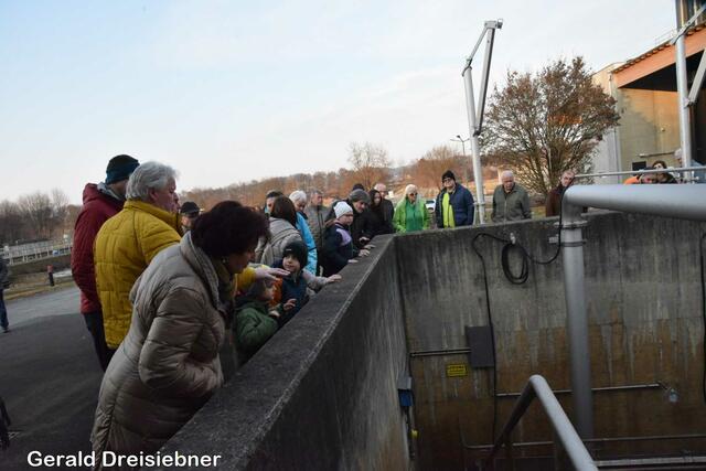 Foto: Gerald Dreisiebner