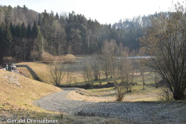 Foto: Gerald Dreisiebner
