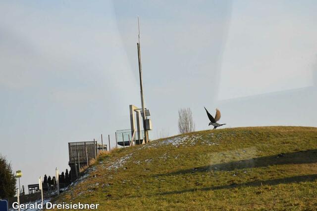 Foto: Gerald Dreisiebner