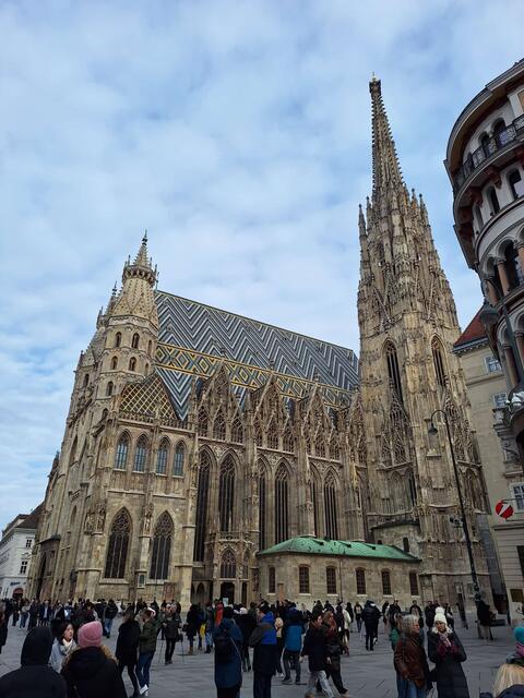 Der Wiener Stephansdom
