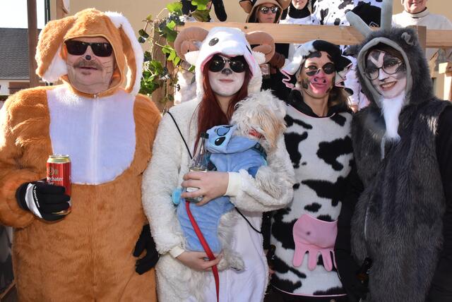  Windhaag bei Perg Fasching 2025.  | Foto: Robert Zinterhof