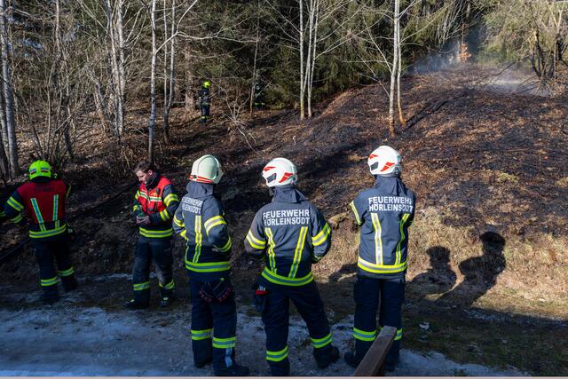 Foto: TEAM FOTOKERSCHI / FRANZ PLECHINGER